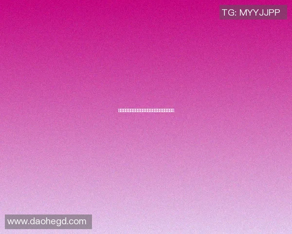 篮球明星亚军的辉煌历程与背后不为人知的奋斗故事